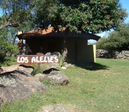 Frente Los Alelies
