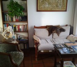 Salón de estar, biblioteca y revistas