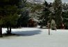 Parque