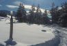 Nevada